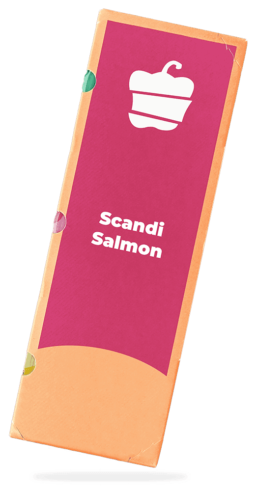 Scandi Salmon kit image