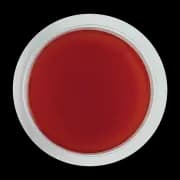 Image of a Thai Tomato Paste spice pot